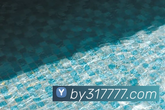 奖项4